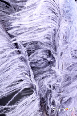 Autruche premium - 50-60 cm - gris